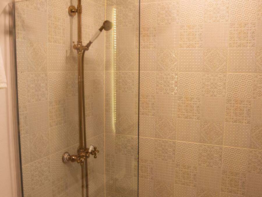 Een douchecabine met een gouden douchekop en een handdouche.