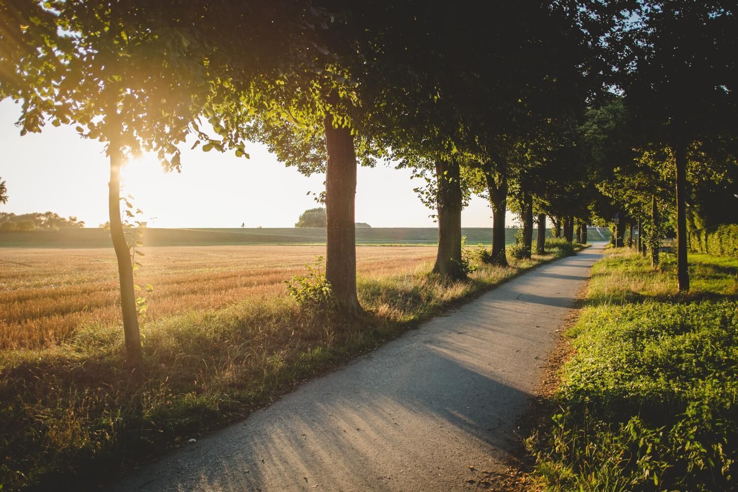 Foto - Hotel & Restaurant Zum Vater Rhein