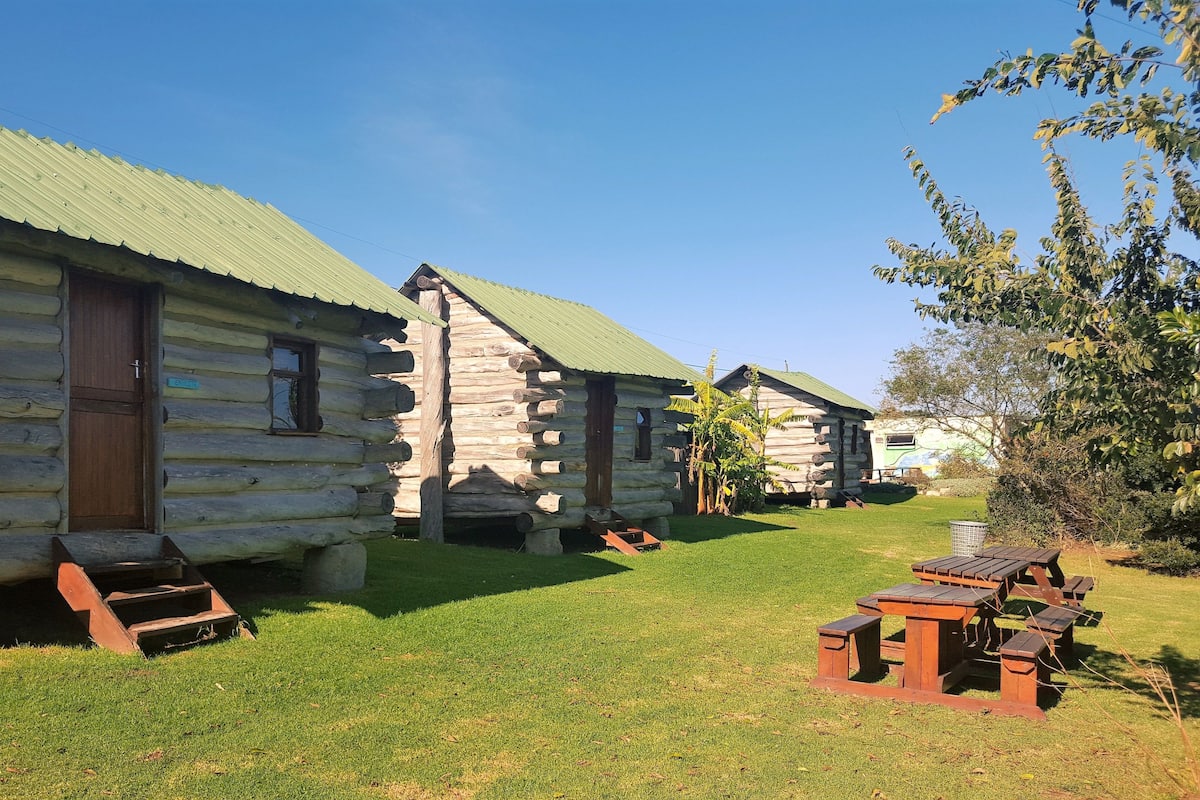Une rangée de chalets en rondins, avec des toits verts, des portes en bois et des fenêtres. On aperçoit des tables de pique-nique au premier plan.