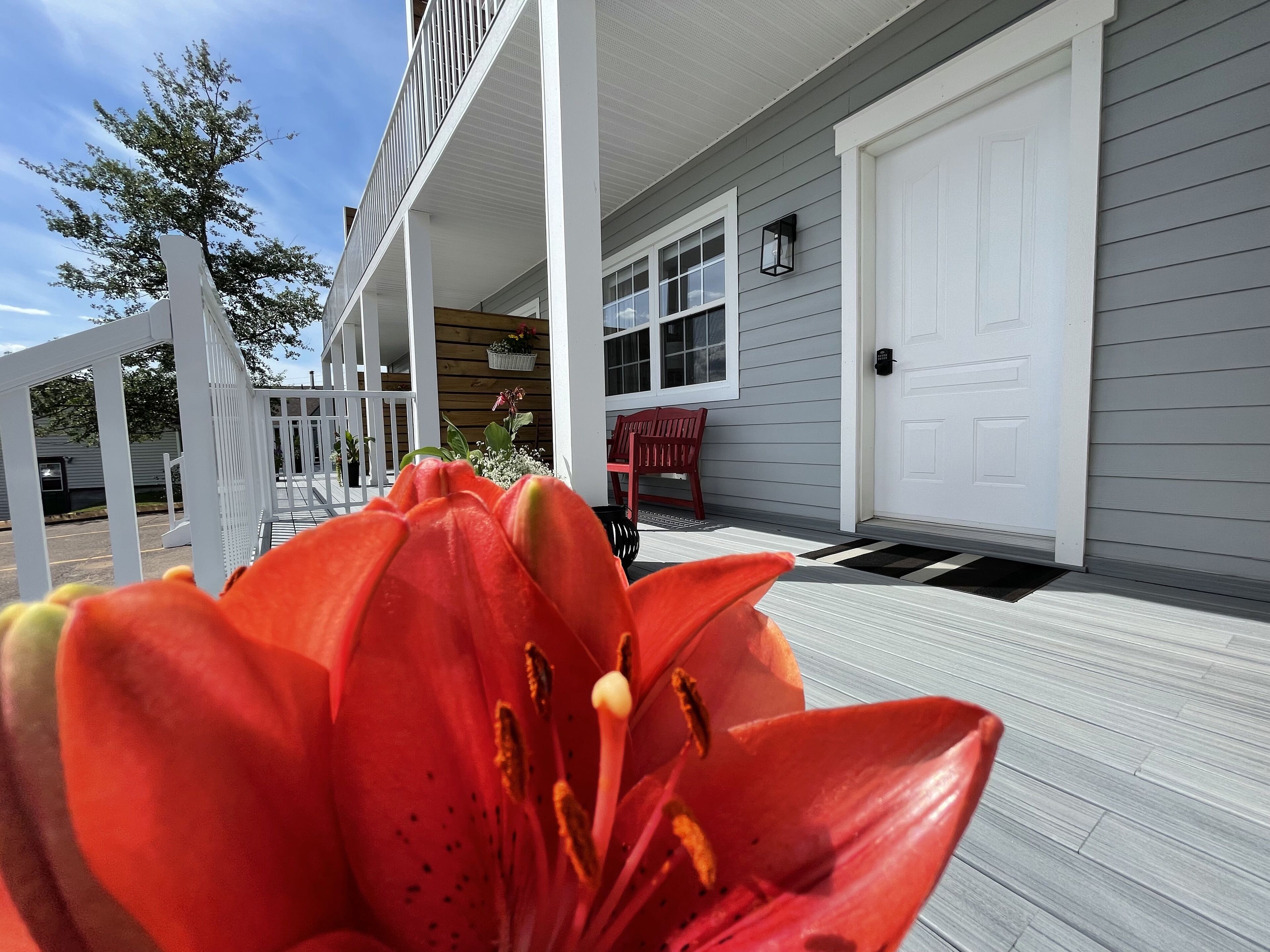 Family Suite, 2 Bedrooms, Kitchen, Bay View | Terrace/patio