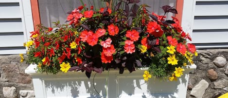 A flower planter with red, yellow, and pink flowers in front of a window with a white frame and a stone wall.