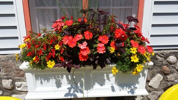 A flower planter with red, yellow, and pink flowers in front of a window with a white frame and a stone wall.