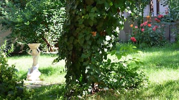 Jardín