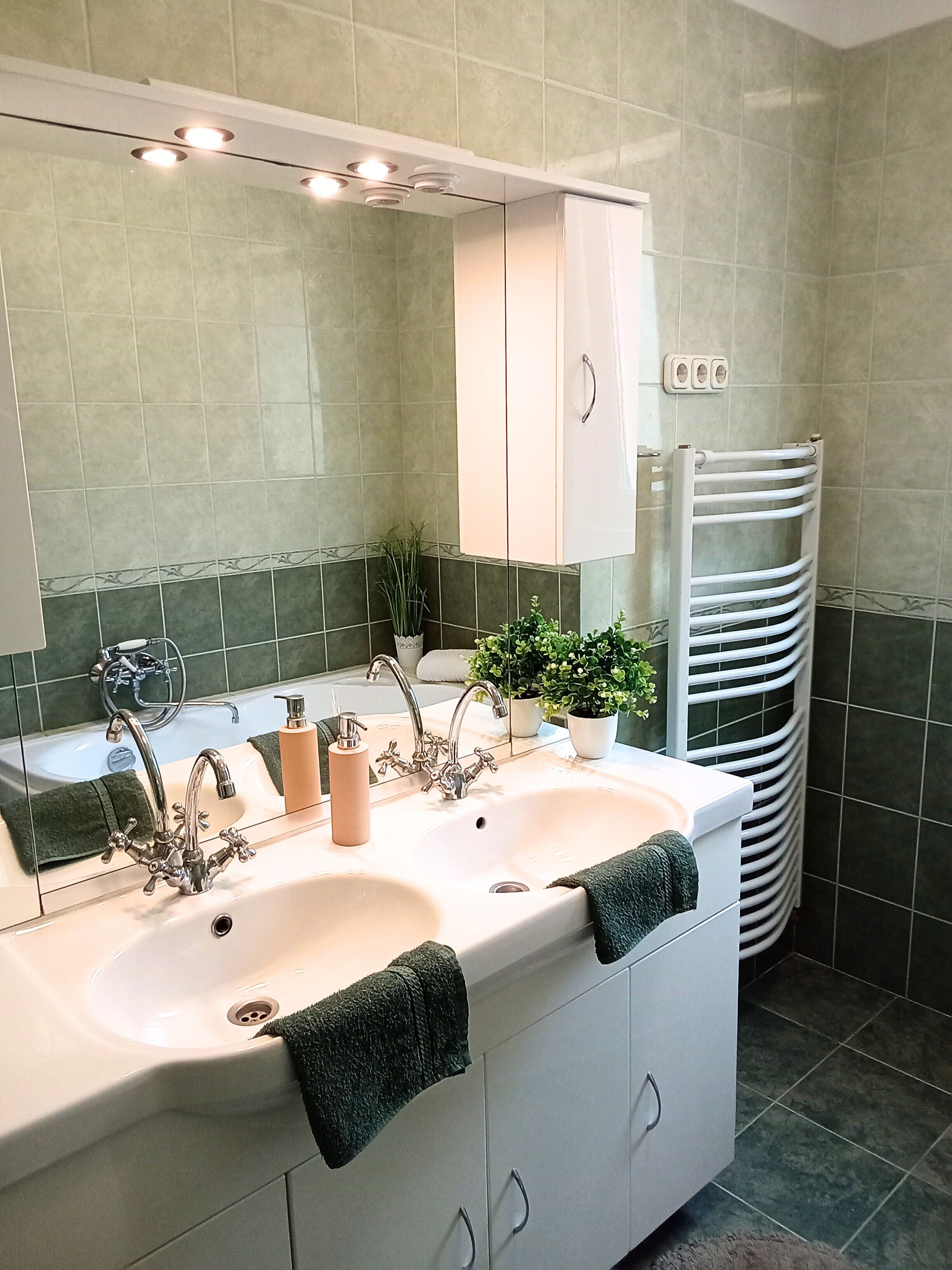 family apartment (1) | bathroom | hair dryer, towels, soap, toilet paper