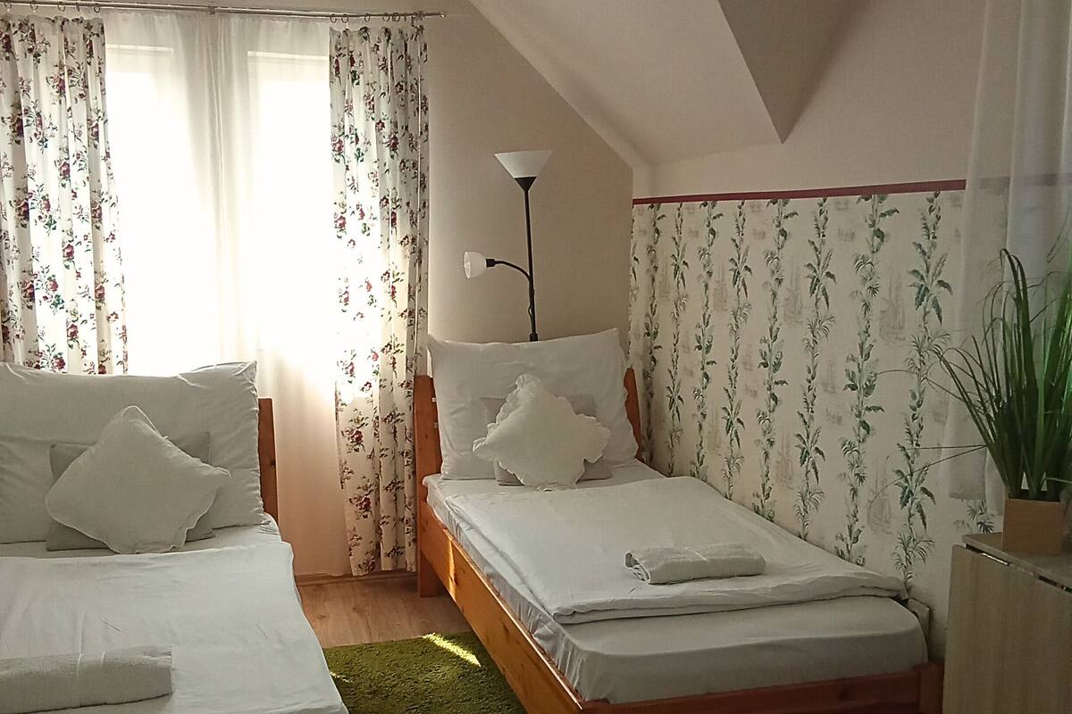 A room with two wooden beds, a green rug, and a potted plant.