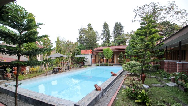 Ein rechteckiger Pool mit zwei Froschstatuen, umgeben von üppiger Vegetation und einem Ziegelgebäude mit rotem Dach.