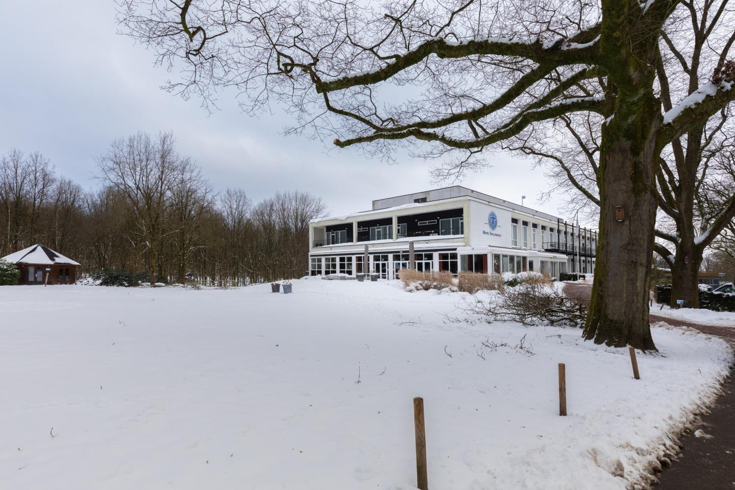 A modern building with a flat roof and large windows, surrounded by snow-covered ground and leafless trees.