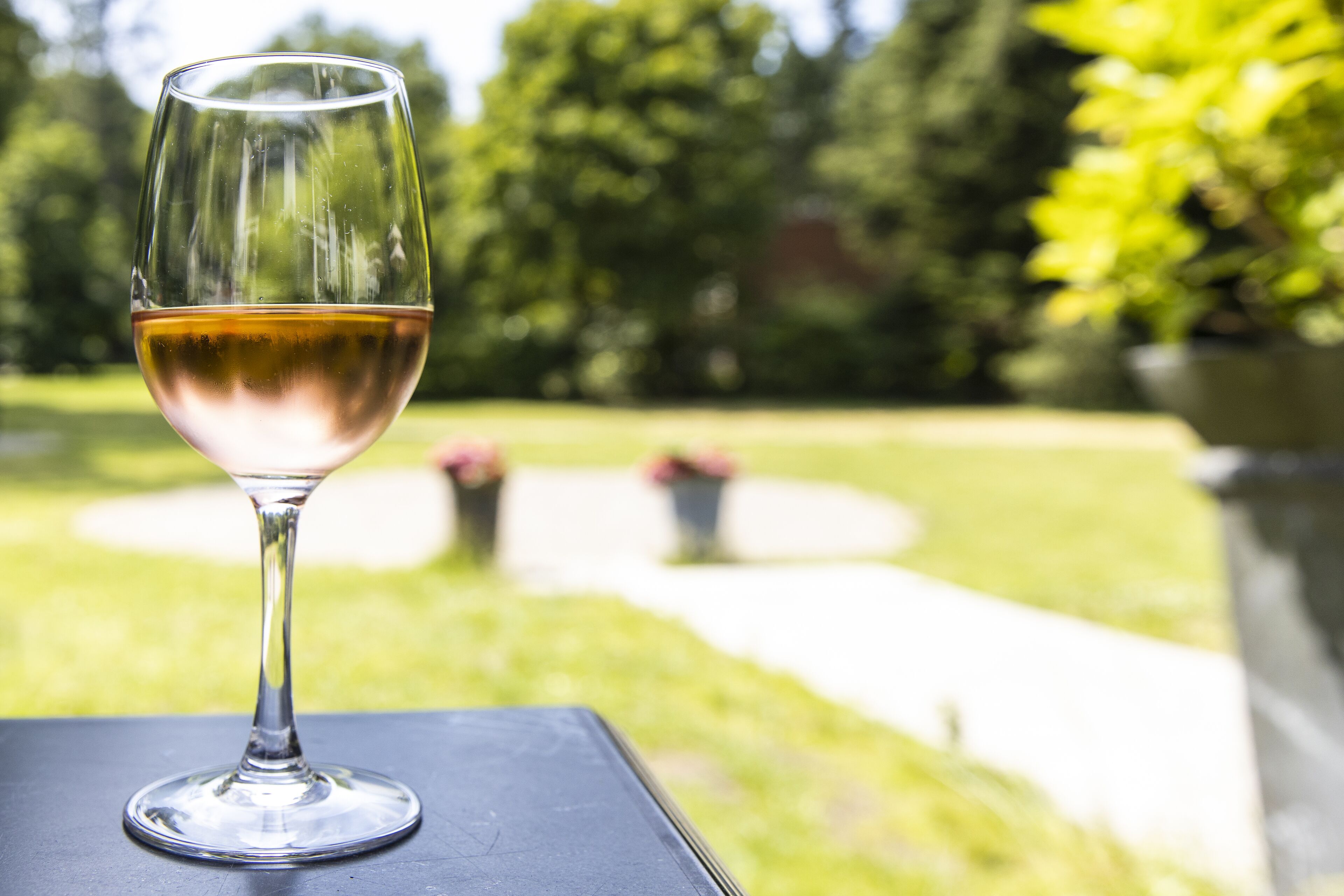 A glass of wine on a table with a garden view in the background.