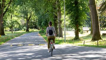 Eine Person fährt Fahrrad auf einem von Bäumen gesäumten Weg.