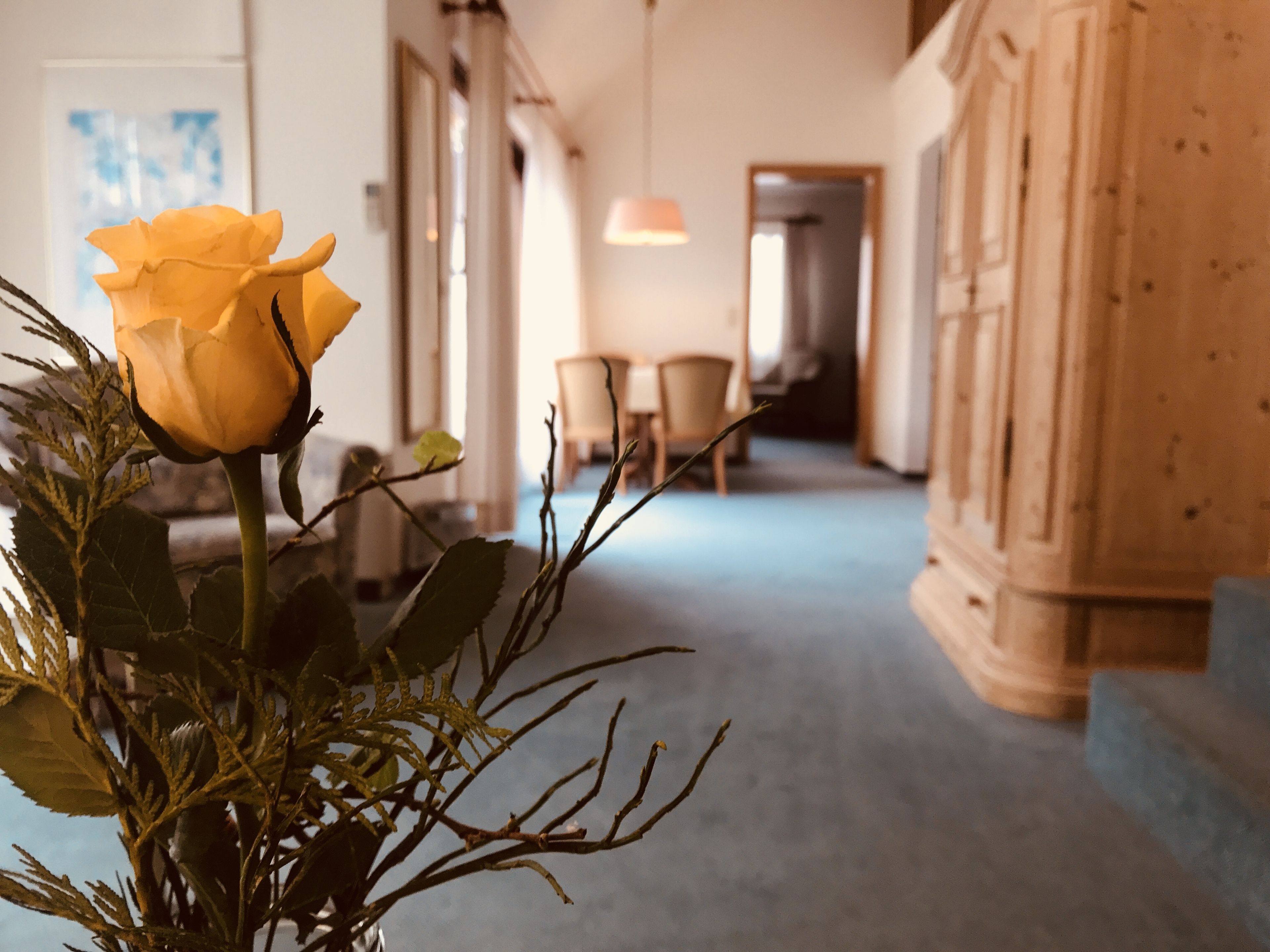 A hallway with a blue carpet, a yellow rose in a vase, and a wooden cabinet.
