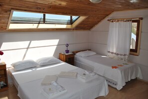 Terrace Panaromic View | View from room