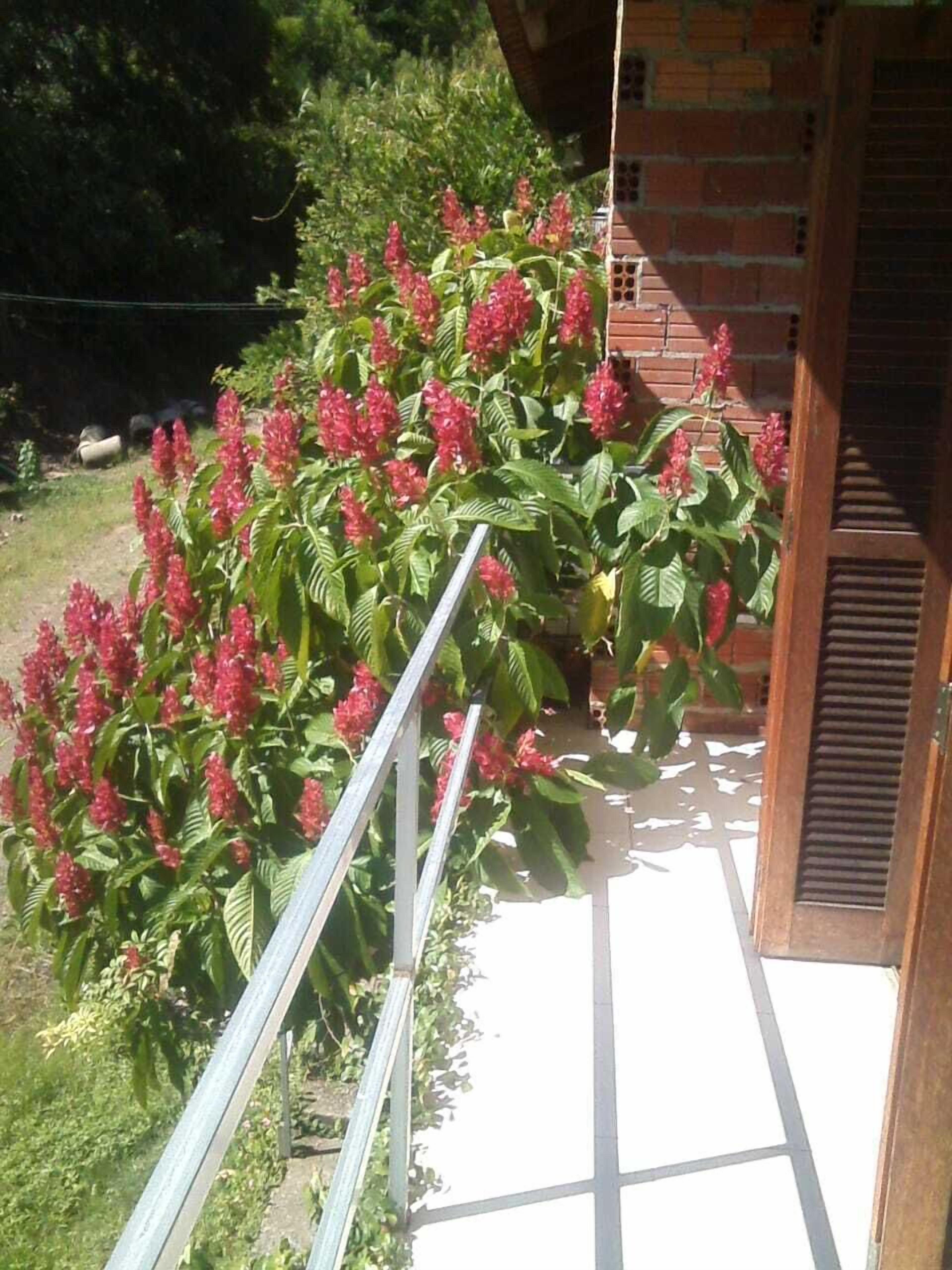 双人房或双床房, 1 张双人床, 无烟房 | 1 多间卧室、遮光窗帘、熨斗/熨衣板、免费 WiFi