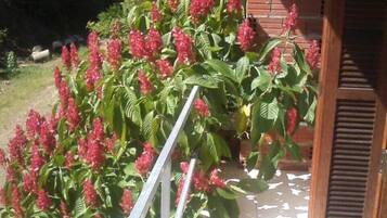 雙人或雙床房, 1 張標準雙人床, 非吸煙房 | 1 間臥室、遮光布/窗簾、熨斗/熨衣板、免費無線上網