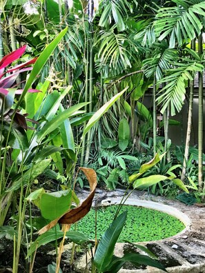 Property grounds - Bon Vivant Villa (Holetown)