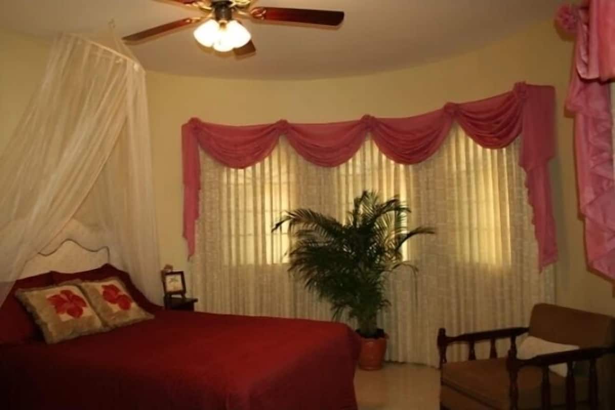 Classic Single Room, 1 Queen Bed | In-room safe, desk, iron/ironing board, free WiFi