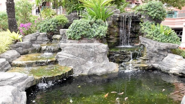 Parco della struttura