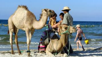 Escena de playa con un camello y gente.
