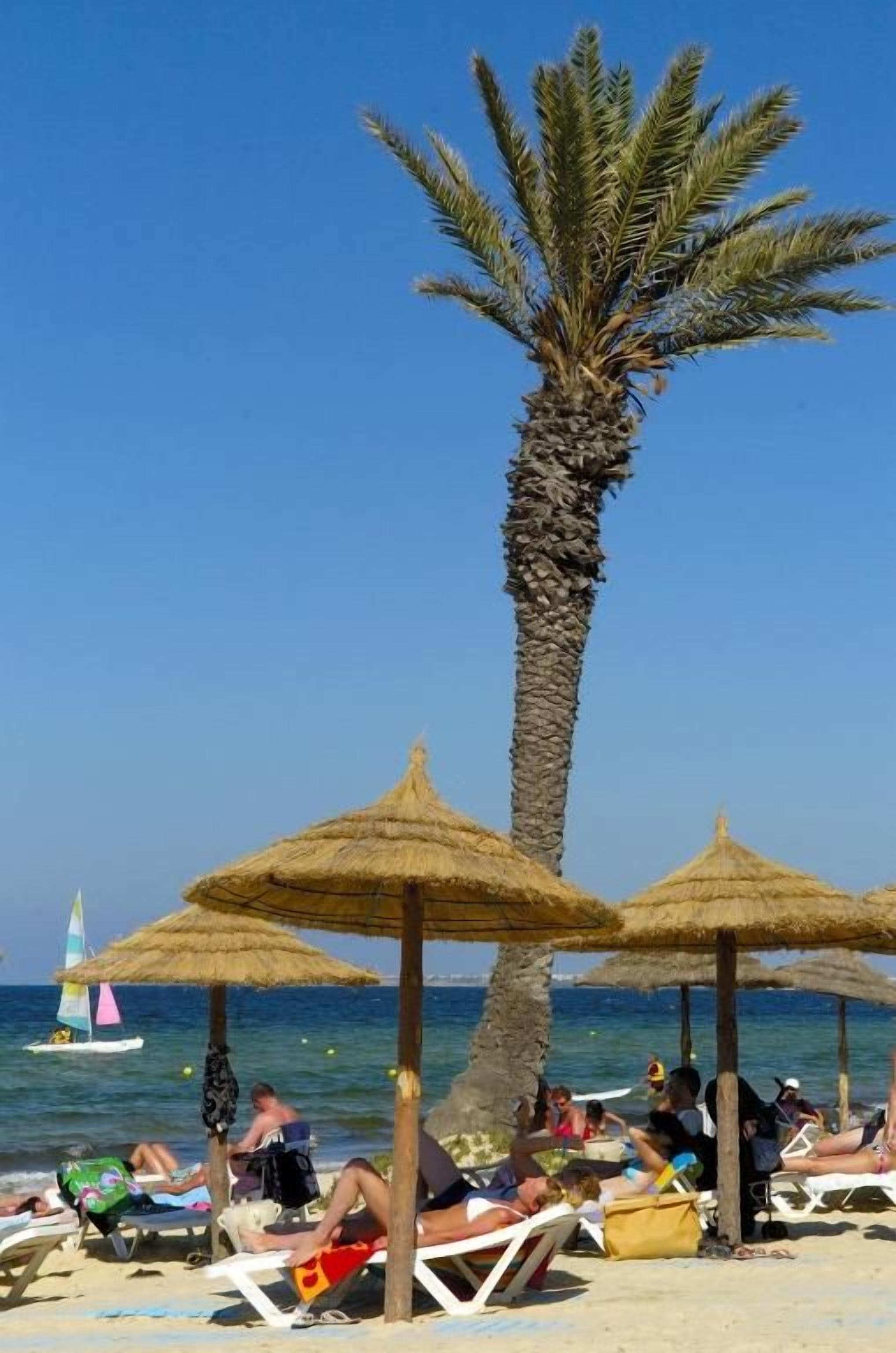 Escena de playa con palmeras, sombrillas y gente descansando en tumbonas.