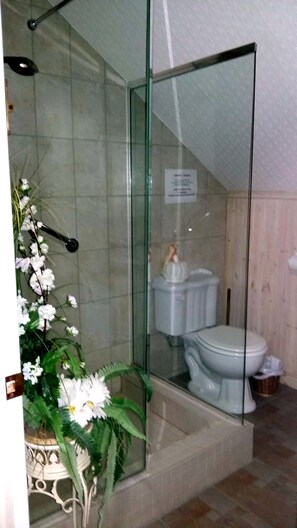 Dusche, kostenlose Toilettenartikel, Haartrockner, Bademäntel