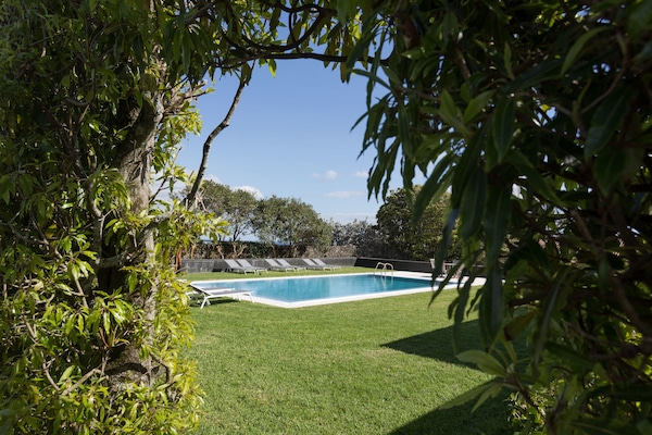 Piscina all'aperto, ombrelloni da piscina, lettini