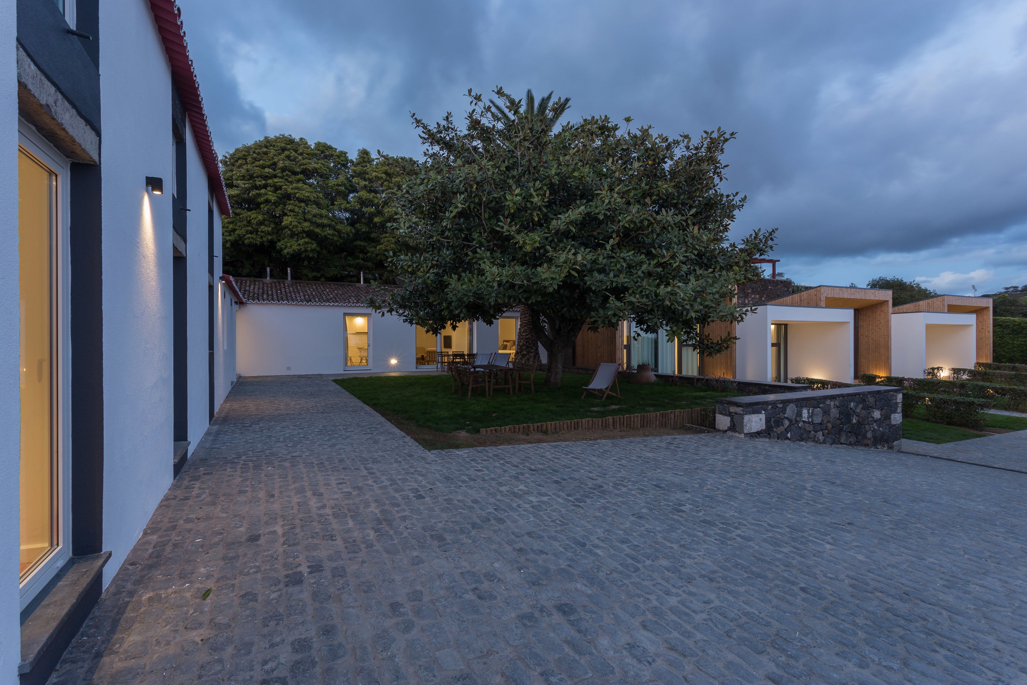 A modern building with a paved courtyard, a large tree, and a well-lit entrance.