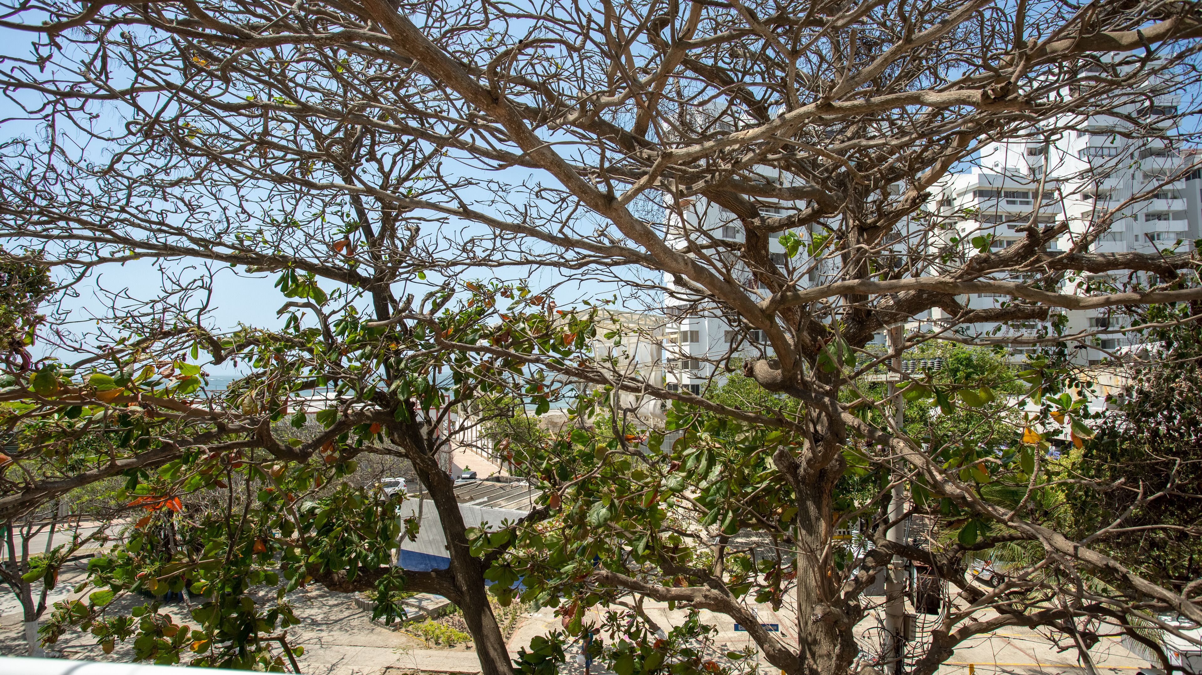 Foto - Hollywood Beach Suite