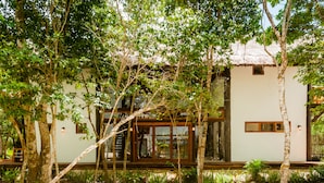 Una casa moderna con techo de paja, rodeada de exuberante vegetación y árboles.