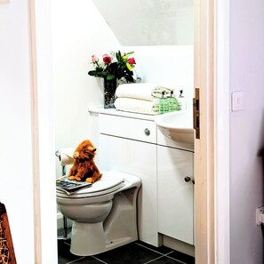 A bathroom with a toilet, a sink, and a mirror.