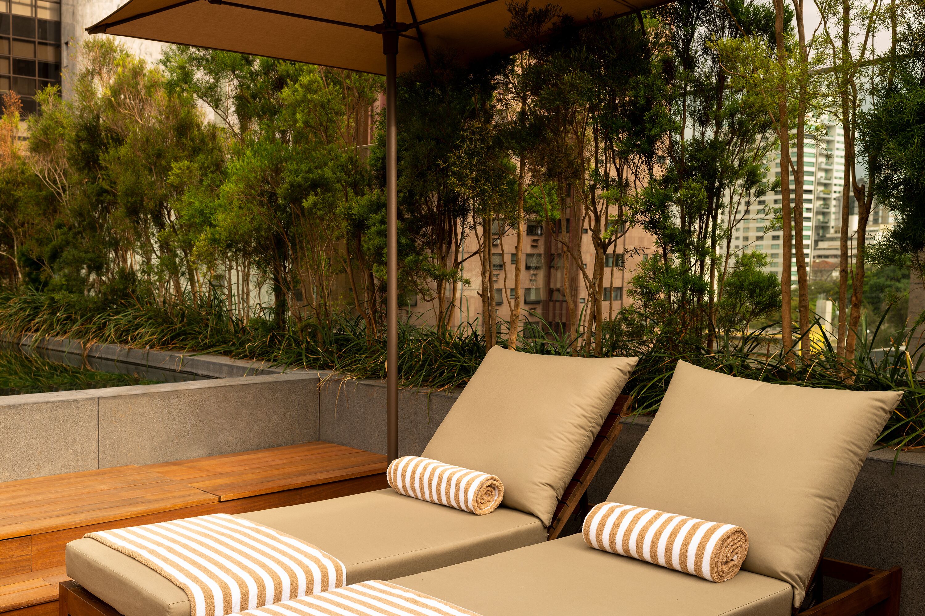 Un área de lounge en la azotea con dos tumbonas, un banco de madera y una pérgola.
