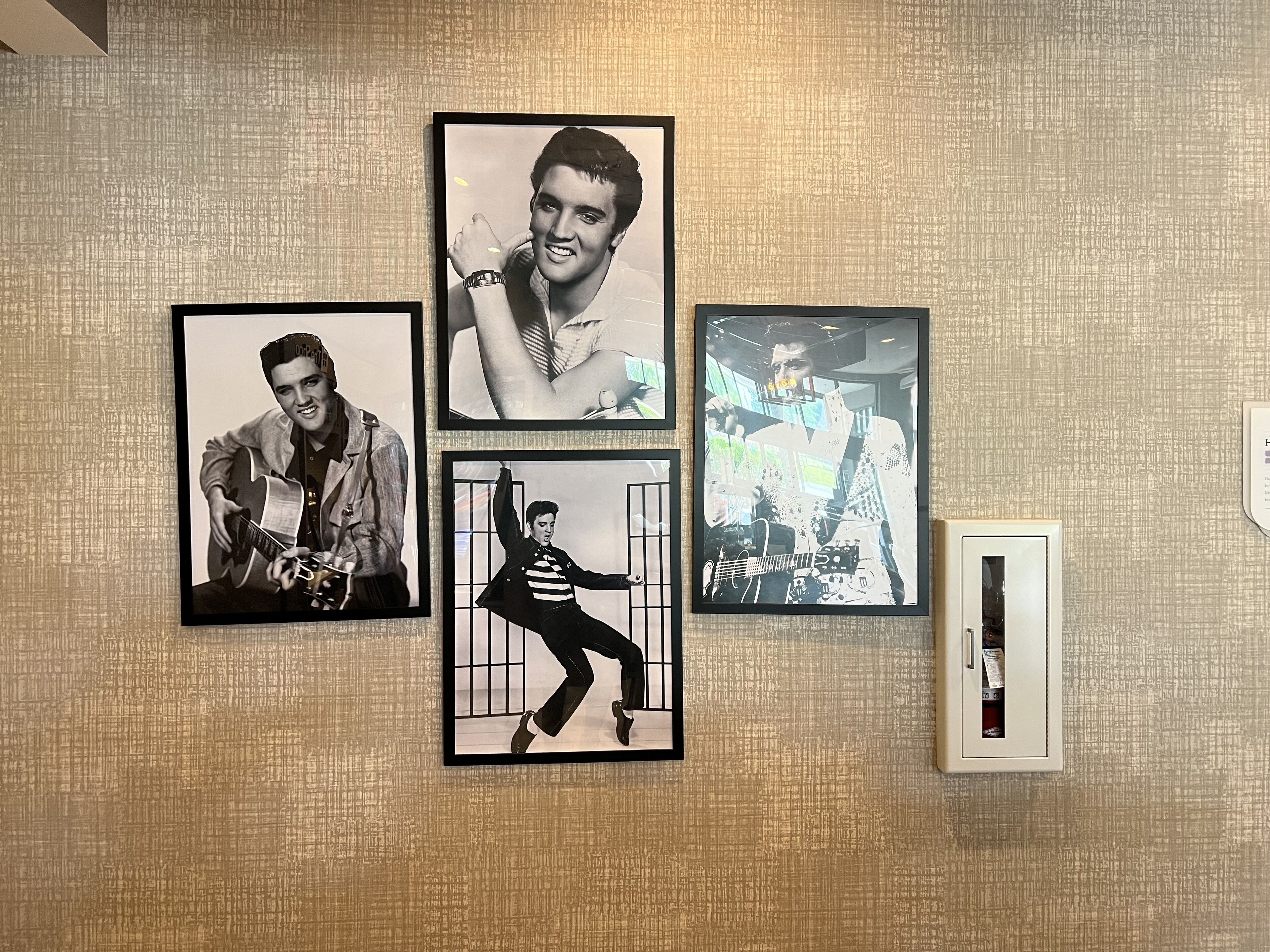 A wall with four framed photographs of a musician in various poses.