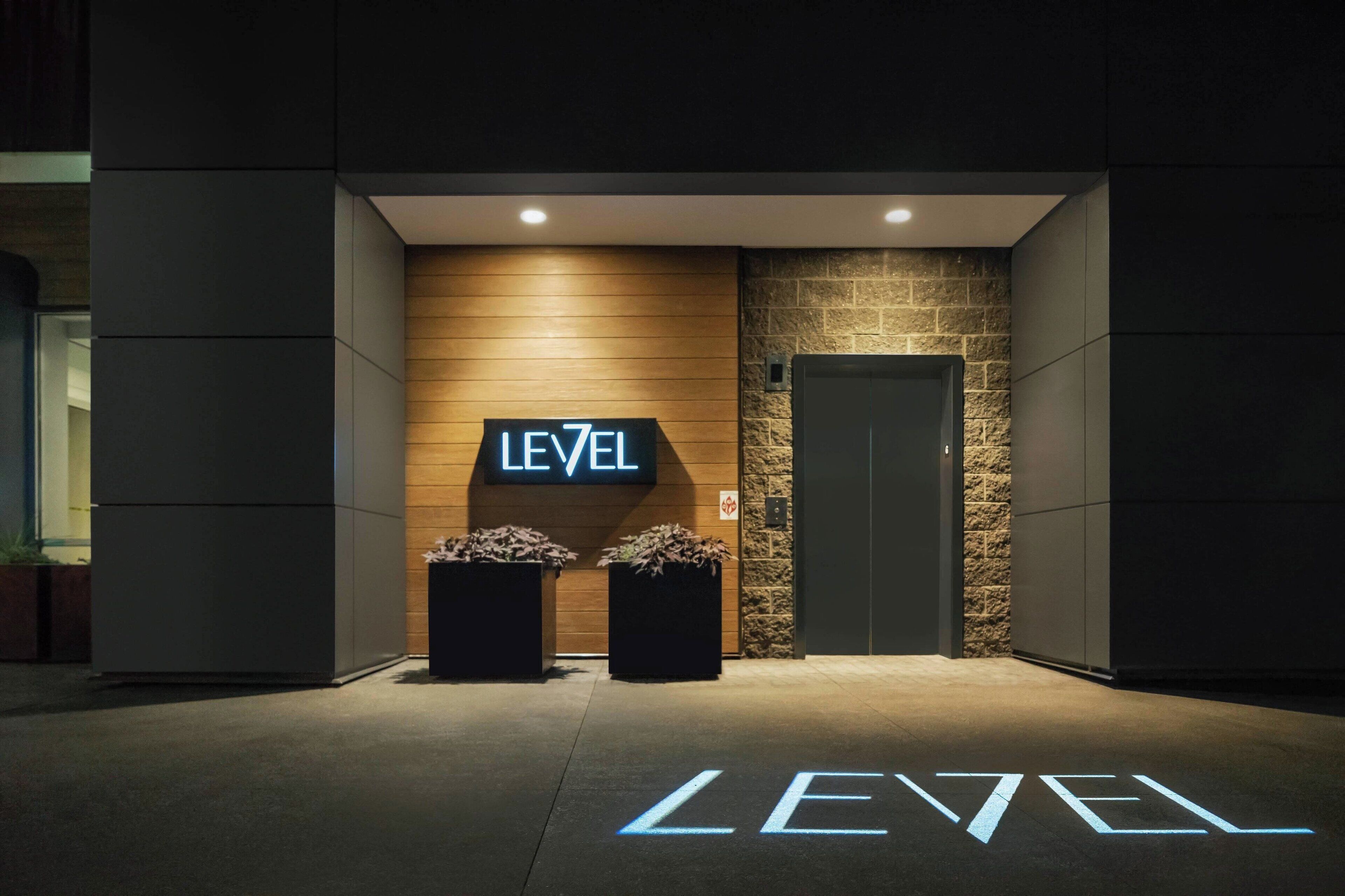 modern european cuisine