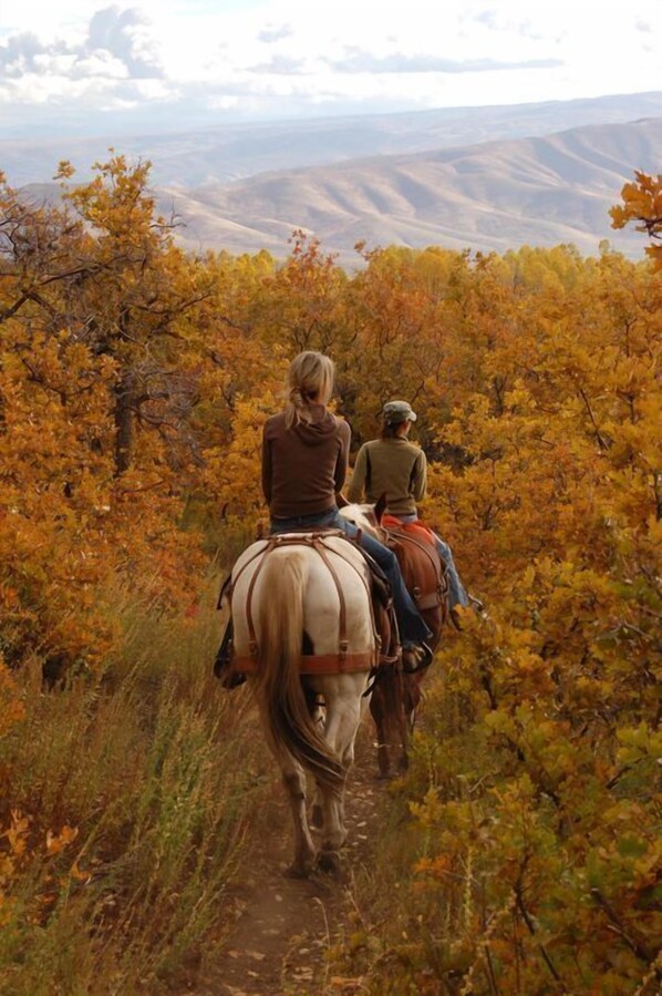 Two people riding a horse on a trail surrounded by autumn foliage.