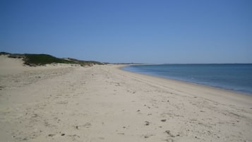 Perto da praia, espreguiçadeiras, toalhas de praia