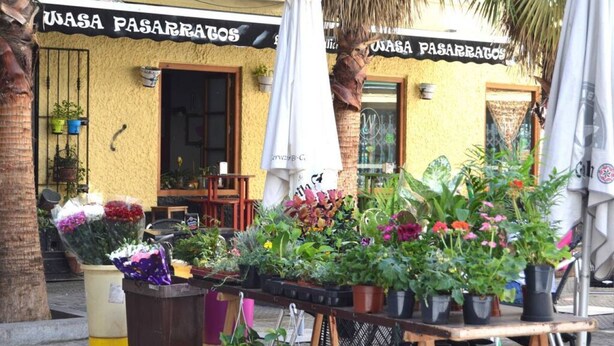 A storefront with a sign reading "WASA PASARRATOS" and a variety of potted plants displayed outside.