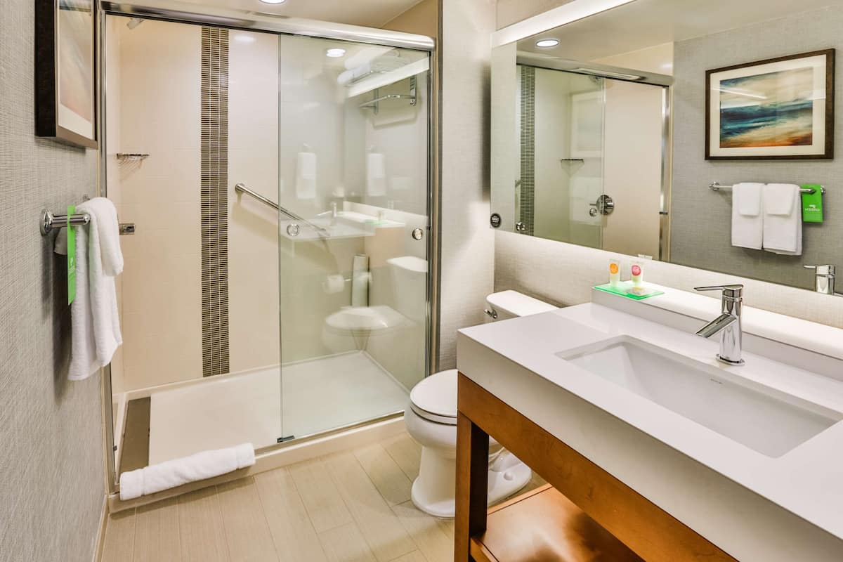 hydromassage showerhead, free toiletries, hair dryer, towels