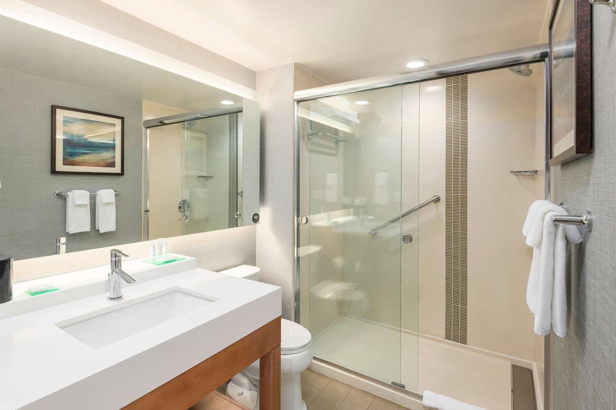 room, 1 king bed with sofa bed | bathroom | hydromassage showerhead, free toiletries, hair dryer, towels