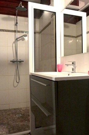 Shower, hair dryer, soap, toilet paper