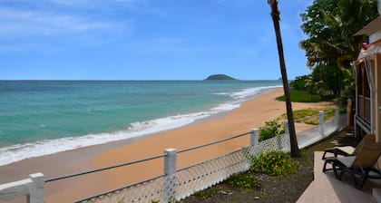 Escape with the sound of the waves