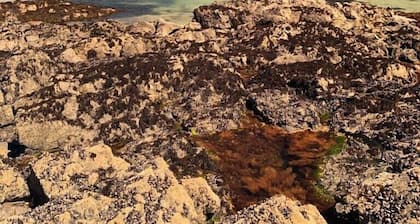 Erquy Mer et Nature