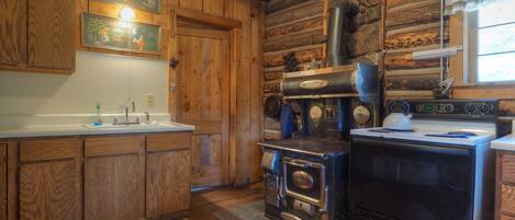 Una cocina rústica con paredes de madera, una estufa y un lavamanos.