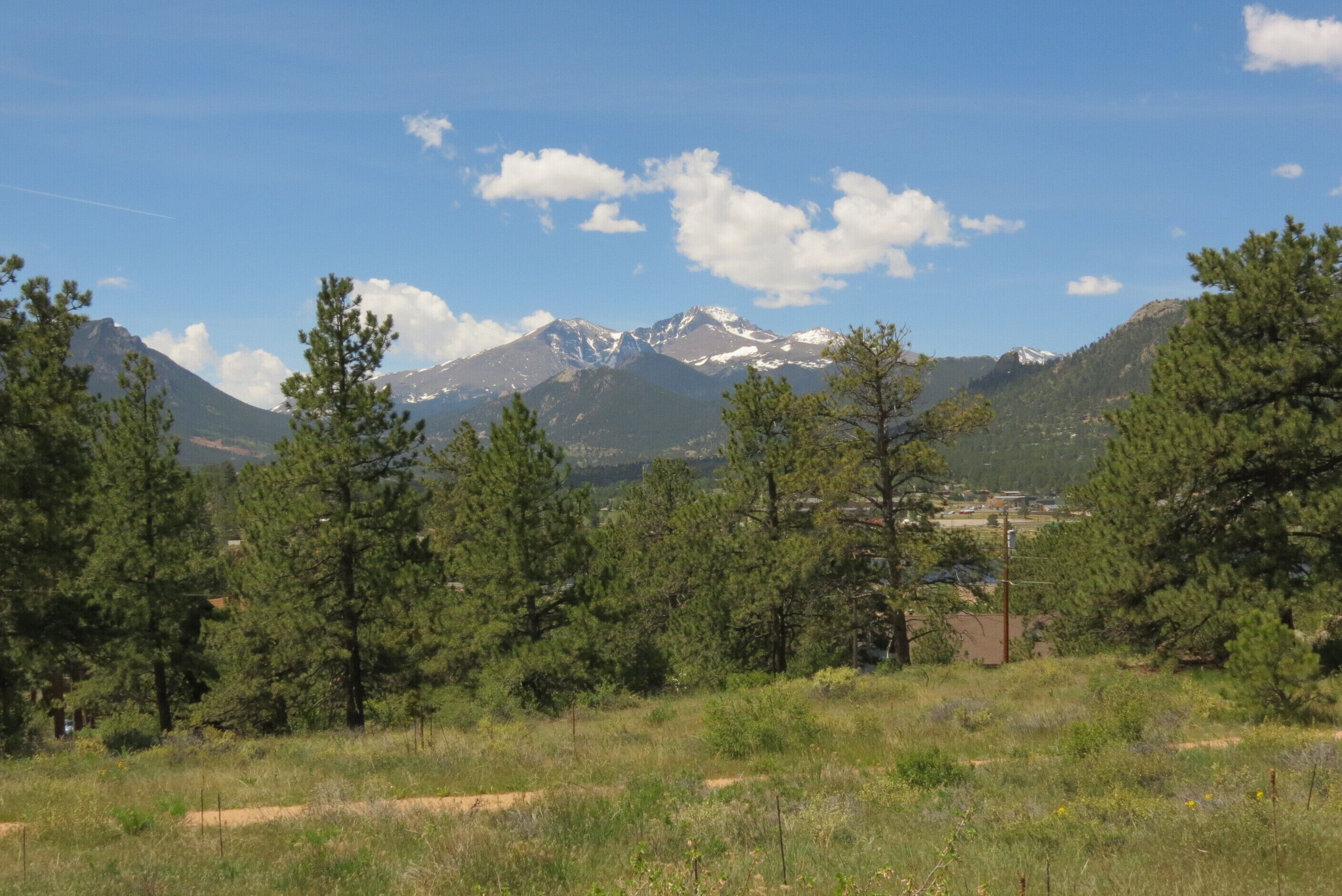 A mountainous landscape with pine trees and a clear sky.