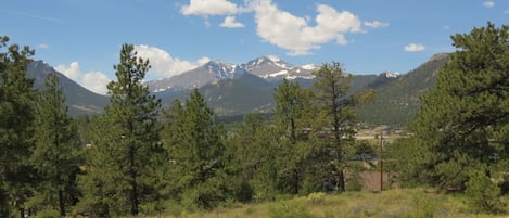 A mountainous landscape with pine trees and a clear sky.