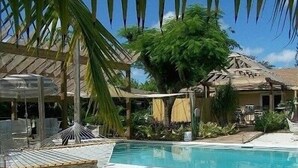 Un espace piscine agrémenté d’une structure à toit de chaume, de chaises longues et d’un palmier.