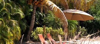  Private tropical paradise 155 5 ⭐️ reviews. No cleaning, pet fees. Clothing opt.