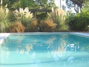 A rectangular swimming pool surrounded by lush greenery and a wooden pergola. -  Private tropical paradise 155 5 ⭐️ reviews. No cleaning, pet fees. Clothing opt. (Ft Myers)