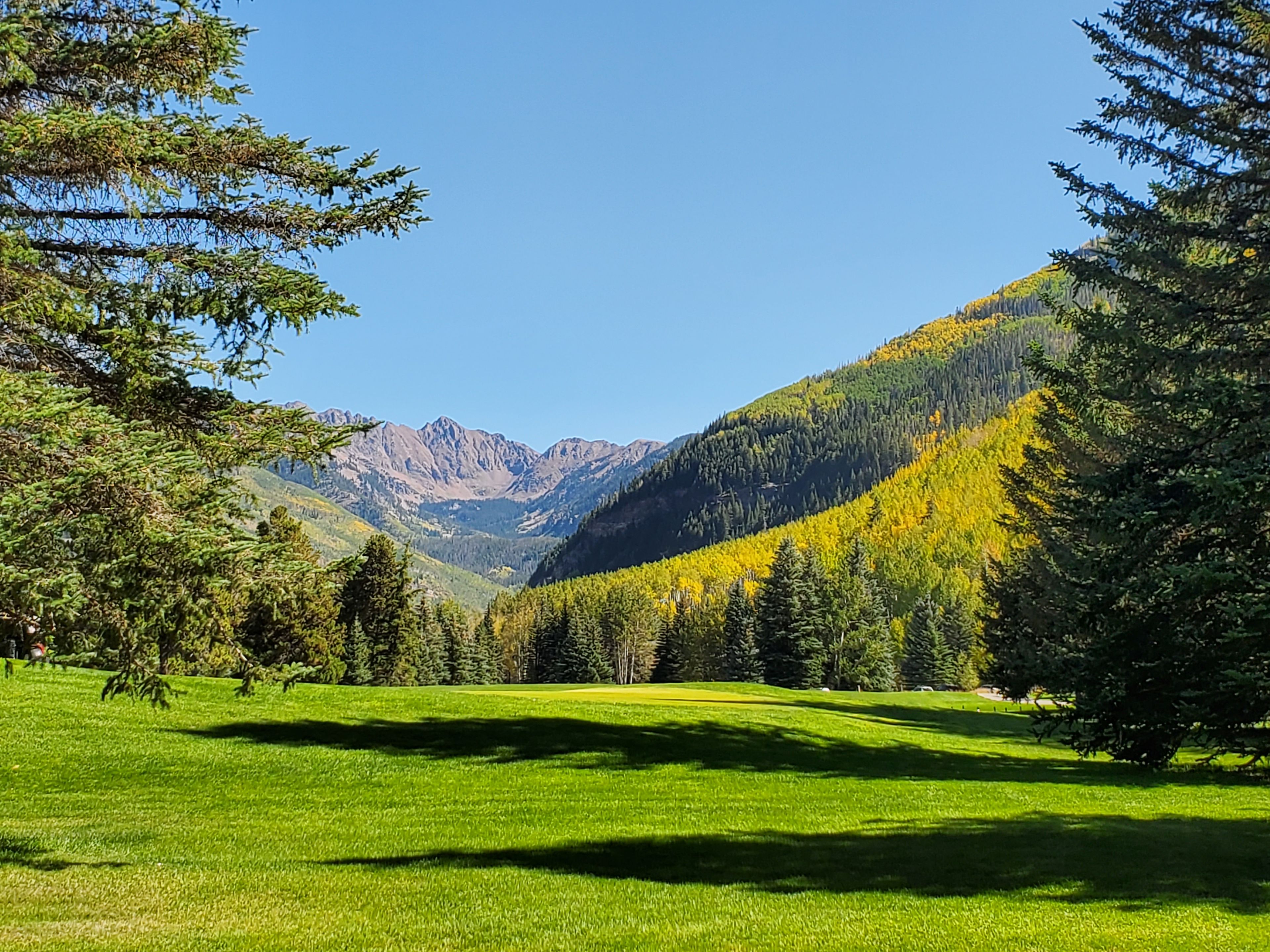 Eine Berglandschaft mit einer grünen Wiese und Bäumen.