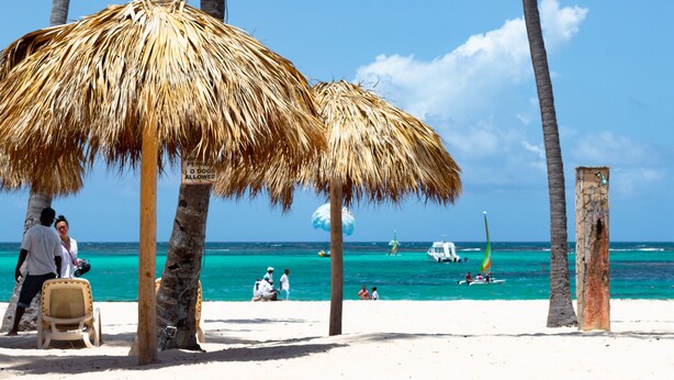 A beach with a thatched umbrella, palm trees, and a clear blue sky. - Riviera Punta Cana Eco Travelers House (Punta Cana)