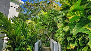 A narrow pathway flanked by lush greenery and white buildings, leading to a covered area. - Riviera Punta Cana Eco Travelers House (Punta Cana)