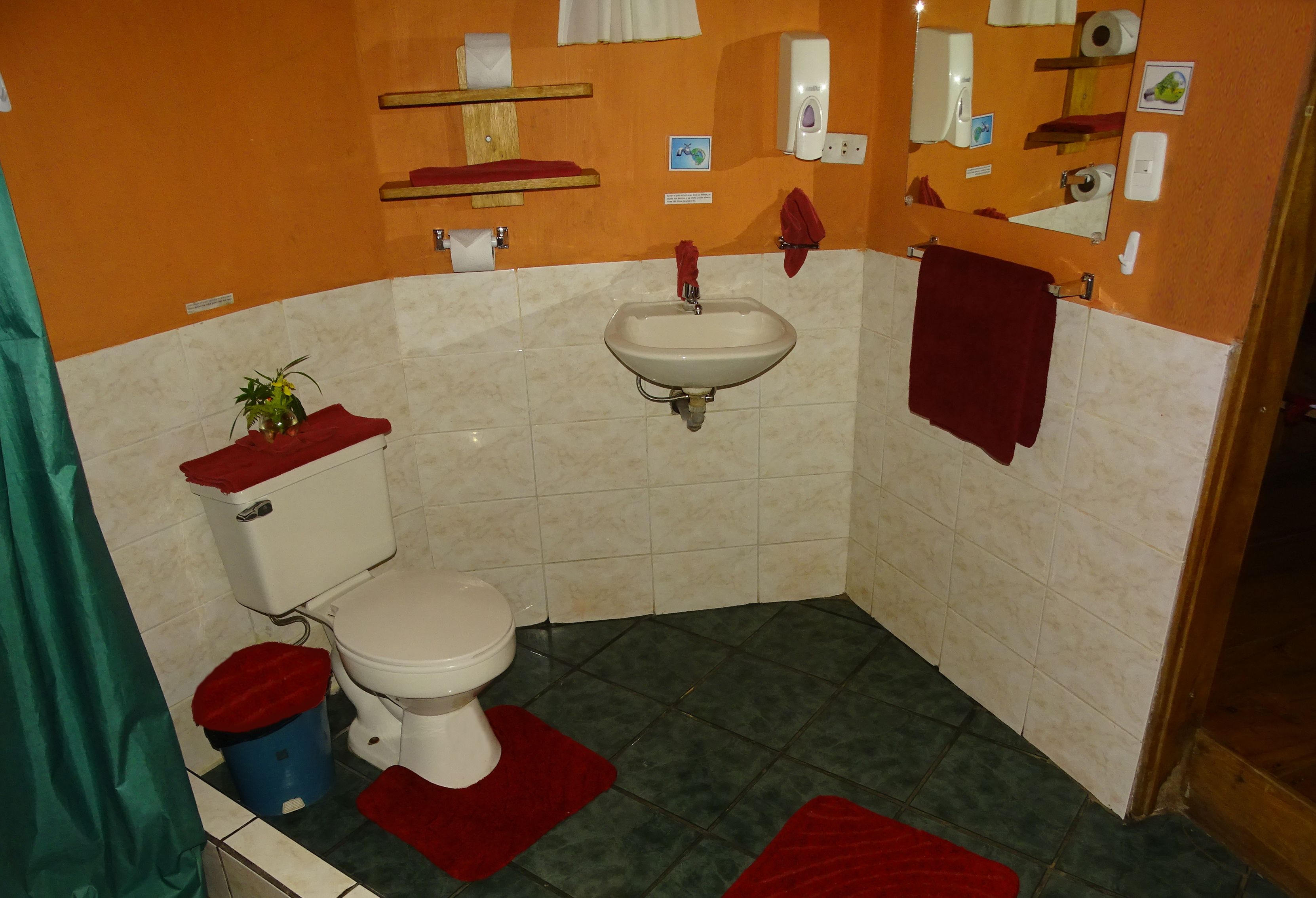 A bathroom with a toilet, sink, and a shower curtain.