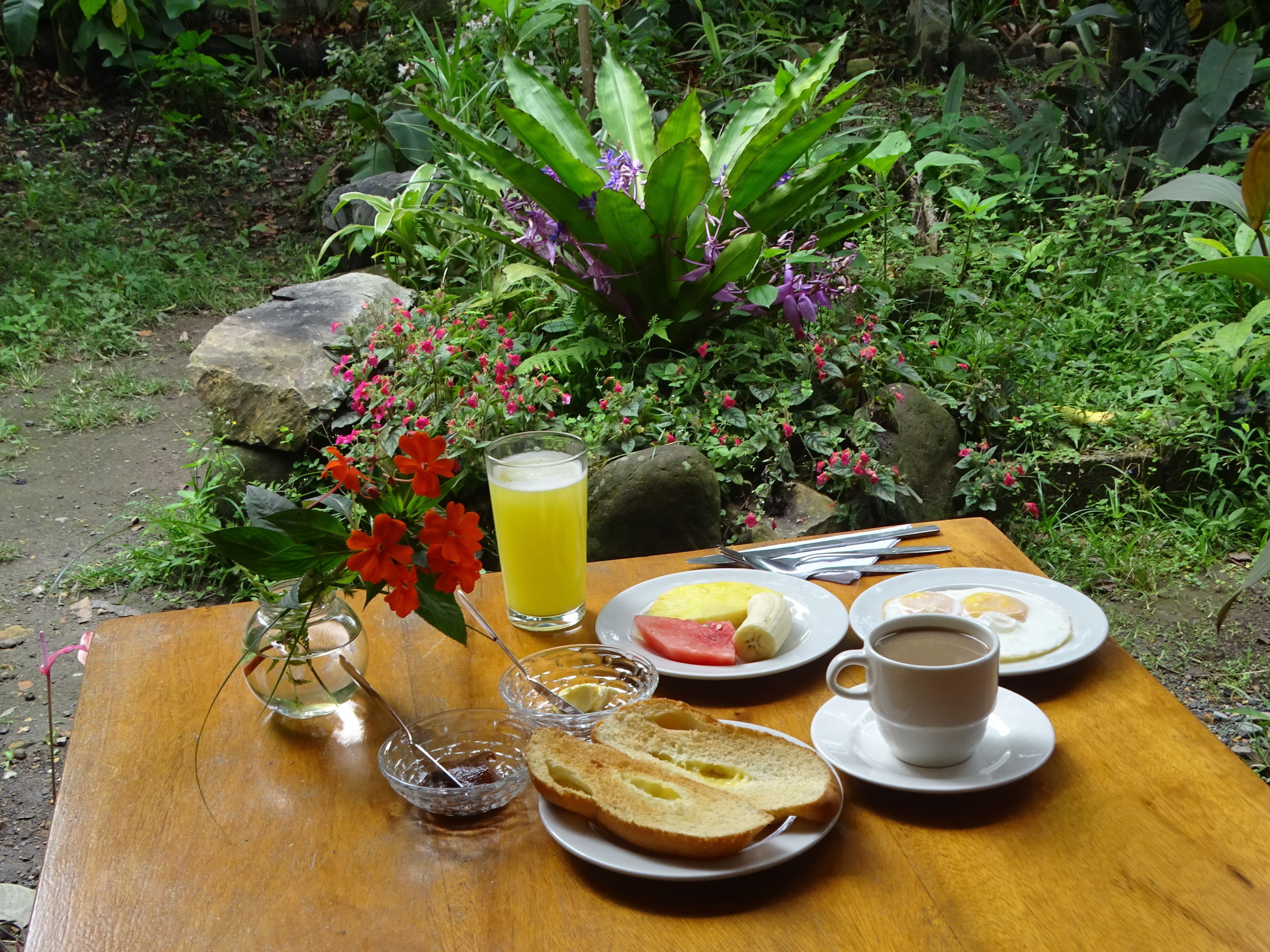 Une table de petit-déjeuner avec des assiettes remplies de nourriture, un verre de jus, une tasse de café et un petit vase avec des fleurs.